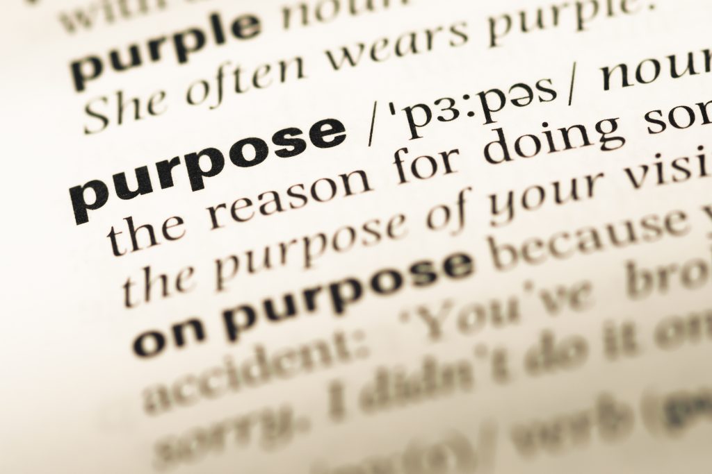 Purpose definition